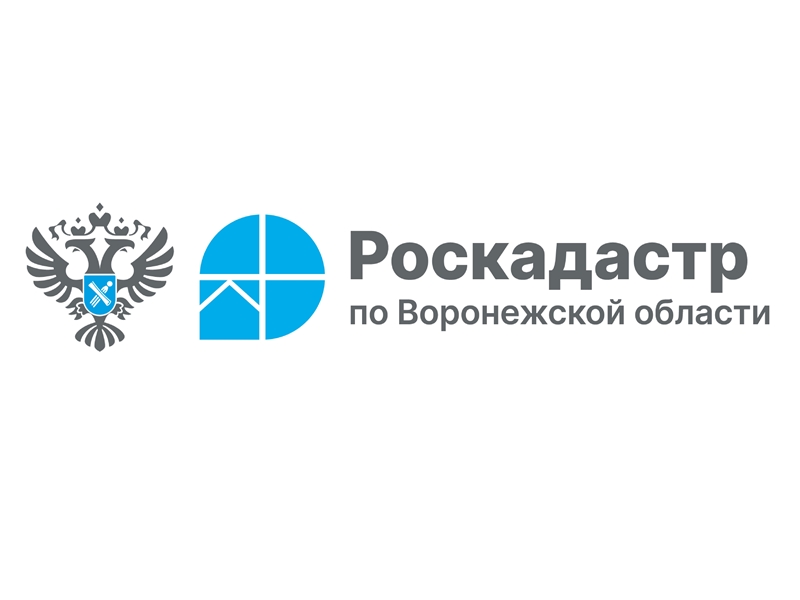 В Воронеже провели первые в этом году выездные консультации в садоводческих товариществах.