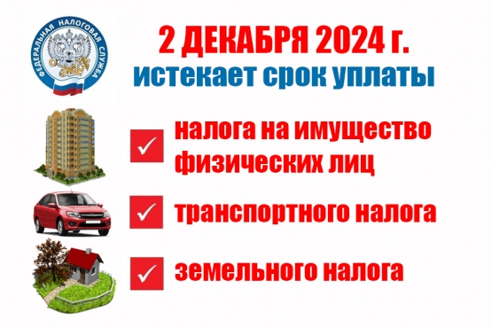Уплатите налоги не позднее 2 декабря 2024 года. Уплатите налоги не позднее 2 декабря 2024 года.